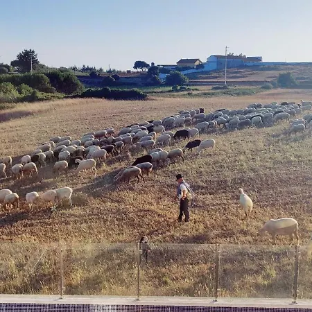 Villa Casa O Carrasco Design House With Pool *